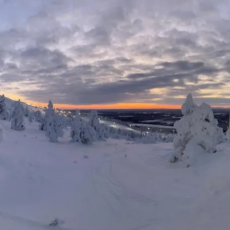 Levin Kunkku C4 Levi