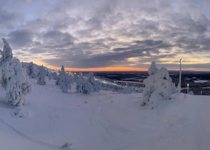 Levin Kunkku C4 Levi